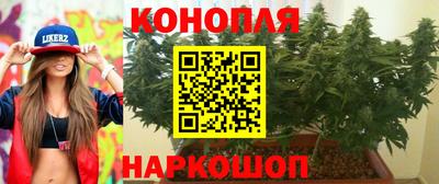 шишки Абакан