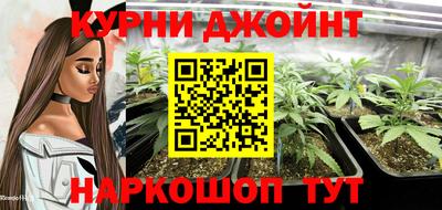 шишки Абакан