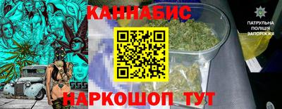 шишки Абакан