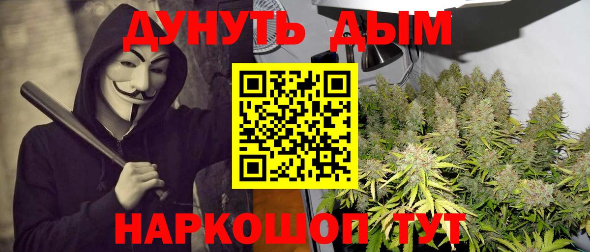 Марихуана конопля  Шишки марихуана гибрид  Алейск  Вход с VPN  Бошки Шишки Amnesia 