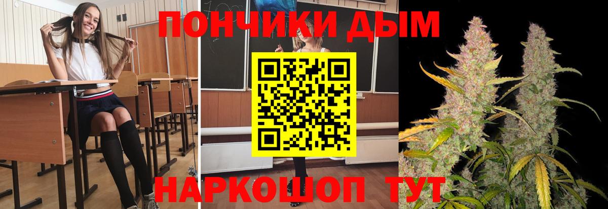 Бошки Шишки гибрид Алейск